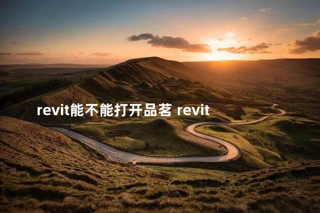 revit能不能打开品茗 revit哪个版本最好用